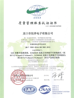 ISO:9001:2015質(zhì)量管理體系認(rèn)證證書(shū)